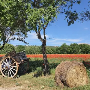  Holiday home La Petite Galejade France