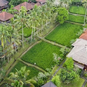 Ananda 4*, Ubud Indonesia